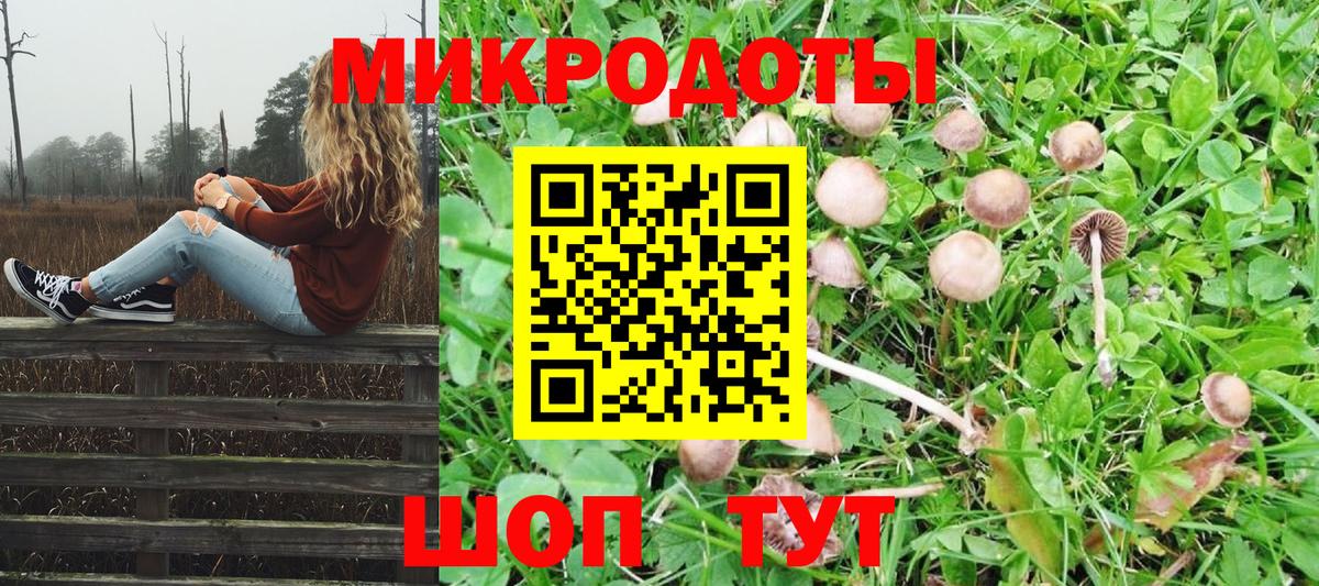 Саянск  Галлюциногенные грибы Psilocybine cubensis  Вход с VPN  Галлюциногенные грибы мухоморы 